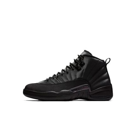 Air Jordan 12- Black Anthracite