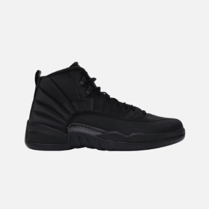 Air Jordan 12- Black Anthracite