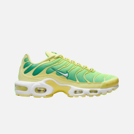 Nike Air Max Plus TN Burgundy