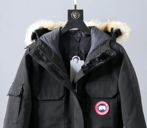 Canada Goose Down - Imagen 2