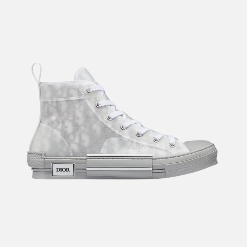 Dior Oblique B23 - Relflective Grey