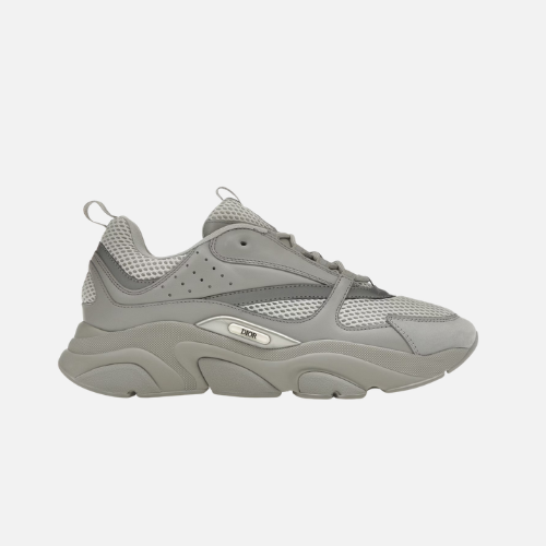 Dior B22 Grey
