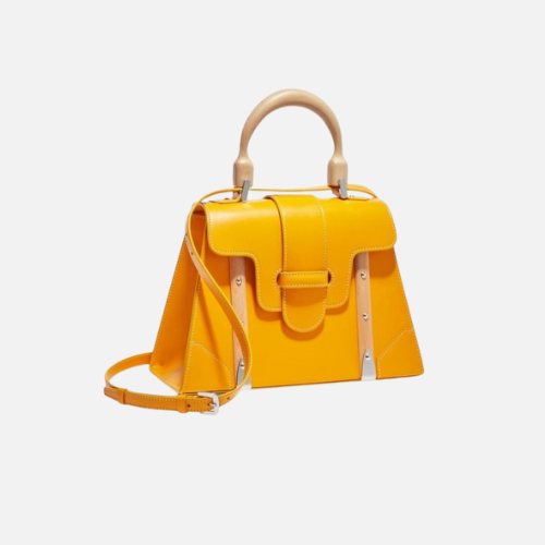 Bag Goyard