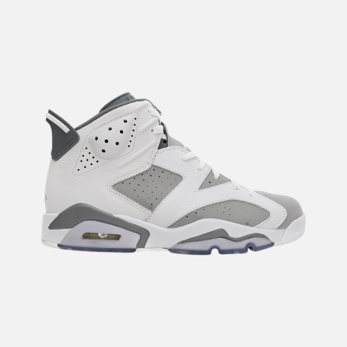 Air Jordan 6 Cool Grey