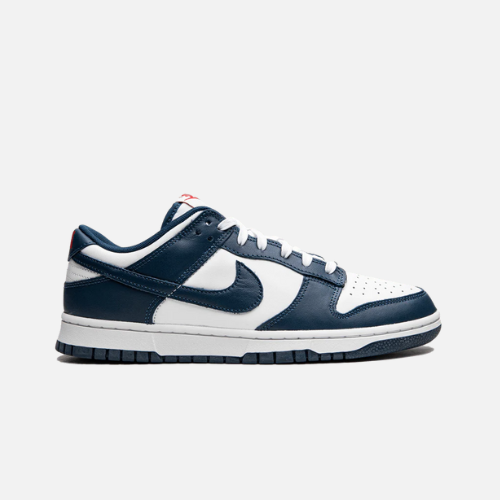 Nike Dunk Low Valerian Blue
